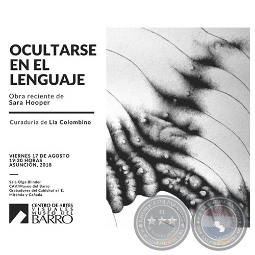 Ocultarse en el Lenguaje - Obra reciente de Sara Hooper - Viernes, 17 de Agosto de 2018